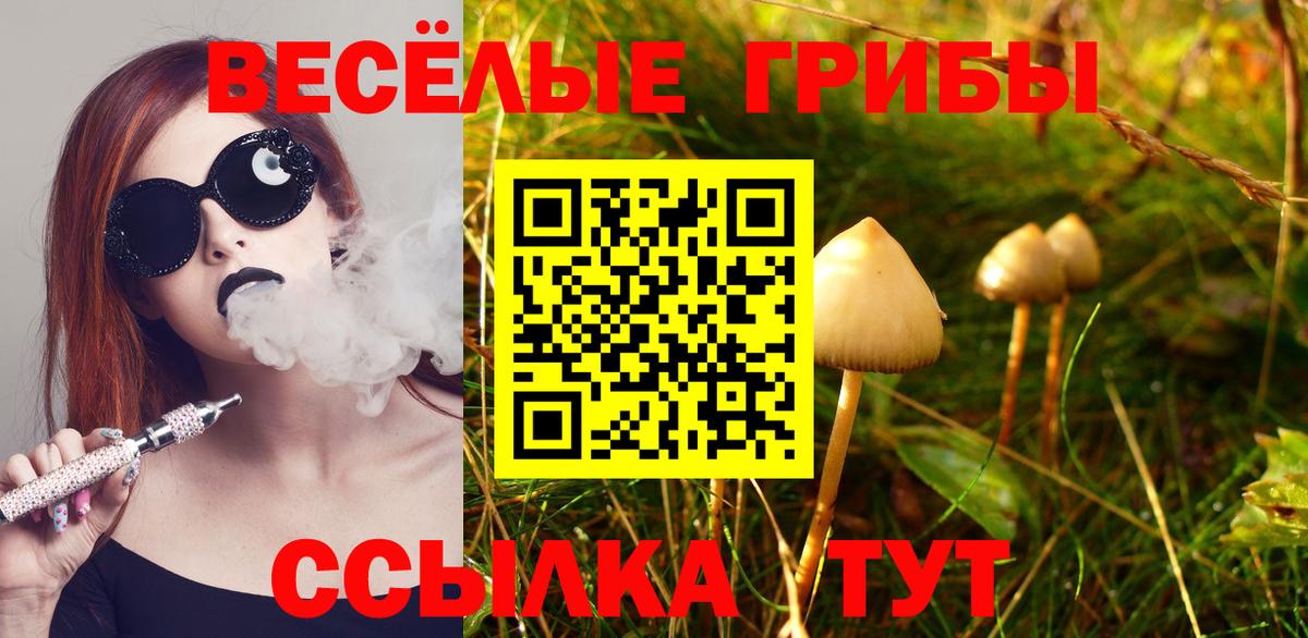 Галлюциногенные грибы GOLDEN TEACHER Междуреченск