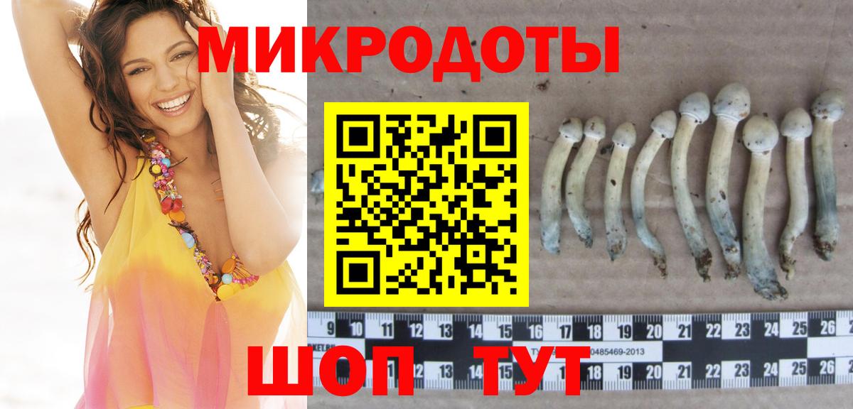 Галлюциногенные грибы Psilocybine cubensis  Вход с VPN  Псилоцибиновые грибы Cubensis  Междуреченск 