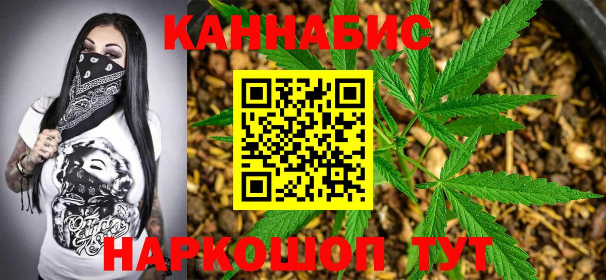 Бошки Шишки семена Междуреченск